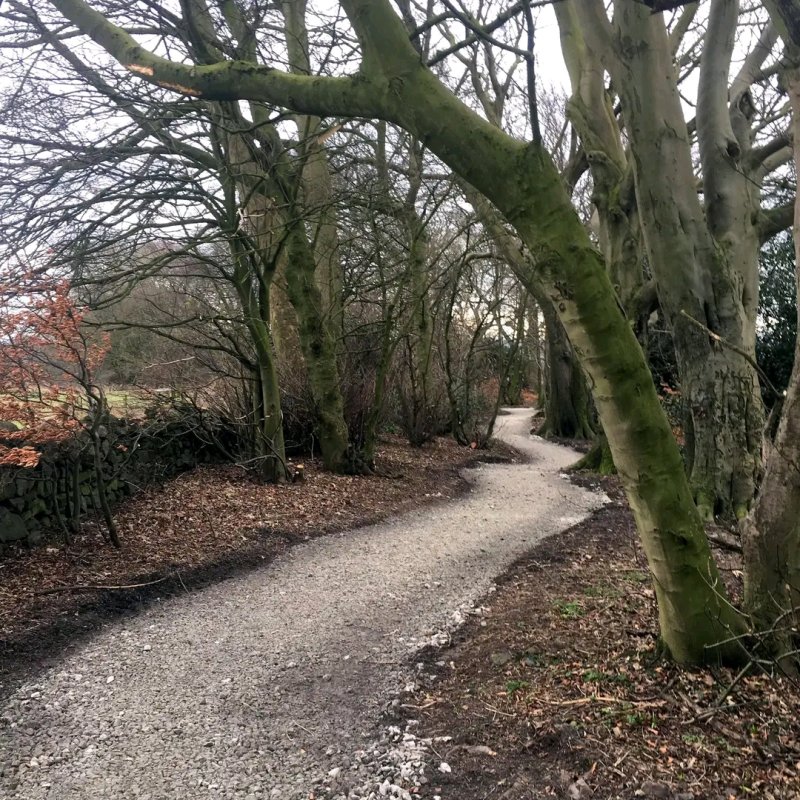 Friends of Hunger Hills Woods