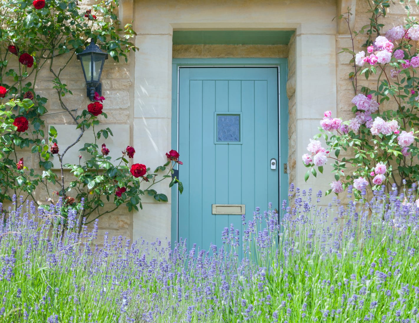 Donnelly & Co Estate Agents